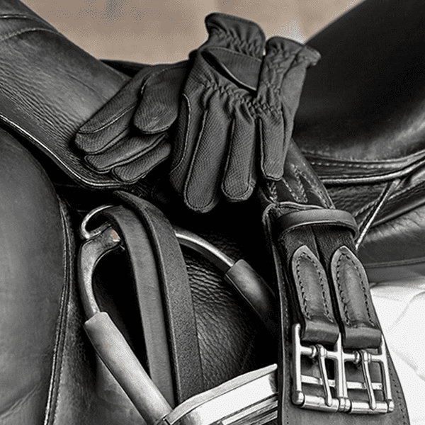 Saddle Fitting Services