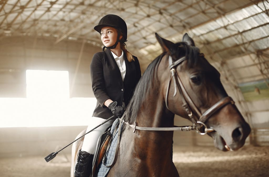 Saddle Sales, Saddle Fitting, Saddle repairs
