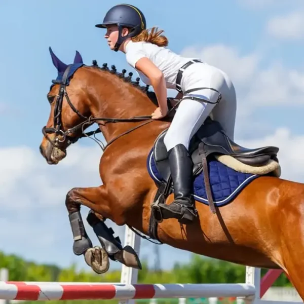 Saddle Fitting